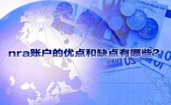 nra賬戶的優(yōu)點(diǎn)和缺點(diǎn)有哪些？