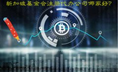 新加坡基金會(huì)注冊(cè)代辦公司哪家好？