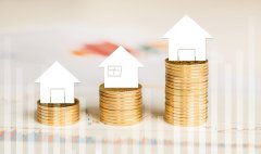 搭建VIE架構(gòu)為什么選擇注冊(cè)BVI公司、開曼公司和香港公司?