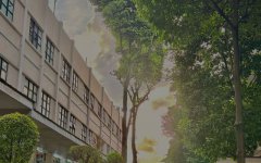 柬埔寨開工廠，難度究竟藏在哪?